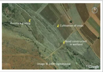 FIGURE 1: Magnified satellite image of the study area: Makhitha village, located  within Makhado municipality, Vhembe district, Limpopo Province.