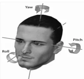 Figure. 2 Views as defined in the upright multiview face detector. 