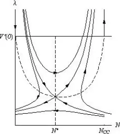 Figure A3.1 – Phase portrait of the system of equations (21) and (22) for a pure compensation ecosystem 
