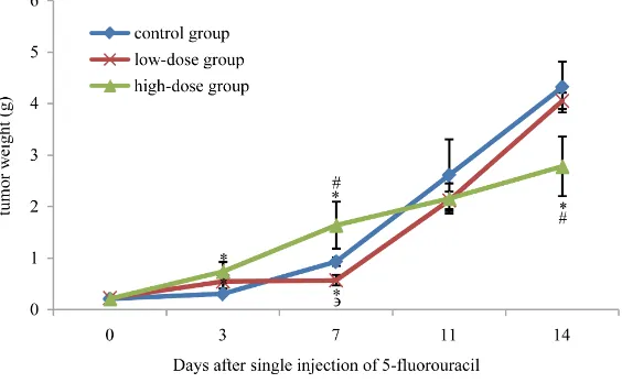 Figure 3. The growth of xenografted tumors in KM mice after 5-fluorouracil treatment. Detection on Day 0 was carried out at 6 hours after unique injec-tion of 5-fluorouracil intraperitoneally