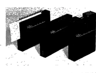 Fig. 1. 