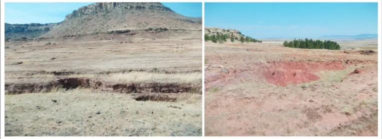 FIGURE 2: Eroded fields between Ha Ngoae, Khubetsana and Maralleng.