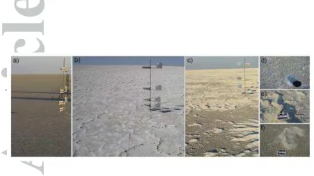 Figure 1 Examples of a) continuous, b) ridged and c) mixed salt crust surfaces on 