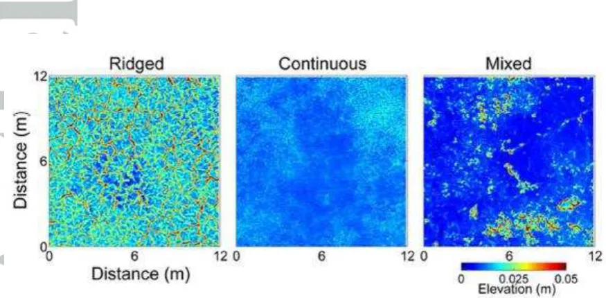 Figure 5 Surface elevations measured by TLS for representative 12 m x 12 m 