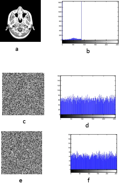 Fig. 6, Sensitivity analysis: (a) original mage of mri, (b) histogram of mri (c) encrypted image by a 1024 bits key, 
