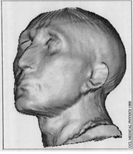 Figure 3.4: A rendered surface image of a bust of a Romangeneral.