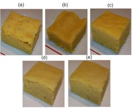 Fig 1: Five set of Indian Food samples of “KHAMAN” 