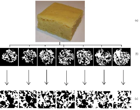 Fig 2(a): Indian Fermented food sample of “KHAMAN”, (b) 2D µCT cross sectional images of the food sample at different incremental depth (100µm) from 200µm to 800µm, (c): Cropped µCT cross sectional images of the food sample at different 
