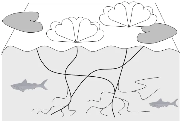 FIGURE IV.5. Metaphor of surface and deep structures. 