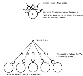 Figure  1.  Cell  Model  Used  in  the  Simulation,  Showing 
