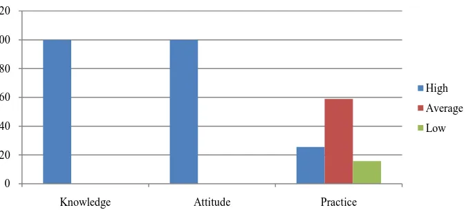 Figure 1. The percentage of knowledge, attitude, and practice of nurses’ experience less than 12 months
