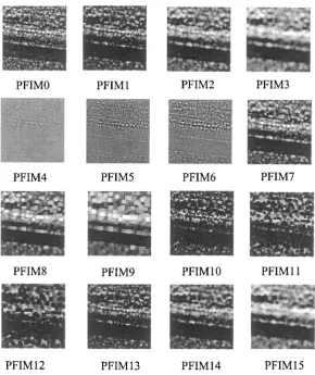 Figure 2.4. Sixteen primitive feature images of training SAR image containing road. 