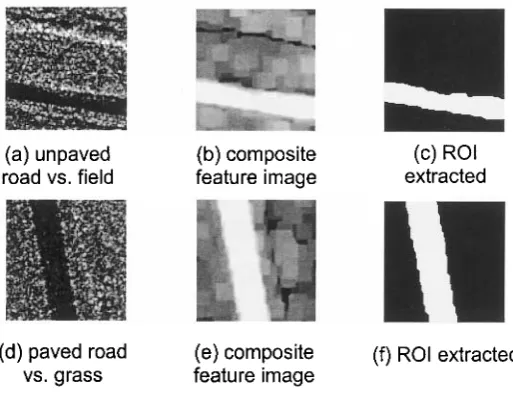 Figure 2.10. Testing SAR images containing road. 