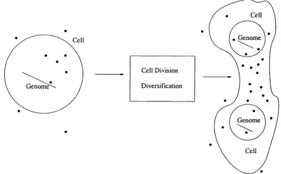 Figure 11.3). 