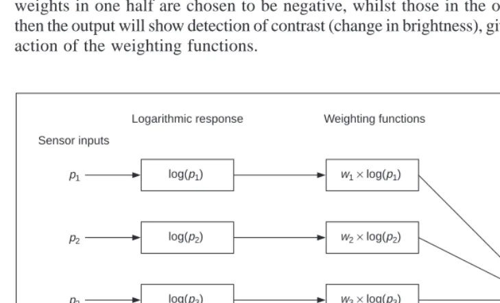 Figure 1.5Neural processing