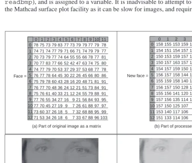 Figure 1.15Processing an image of a face