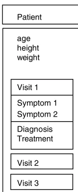 Figure 1.5Patient case record.