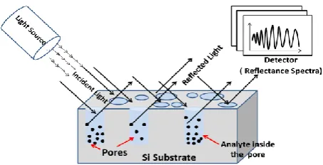 Fig 1: Schematic drawing of single layer PS  interferometric optical sensor device 