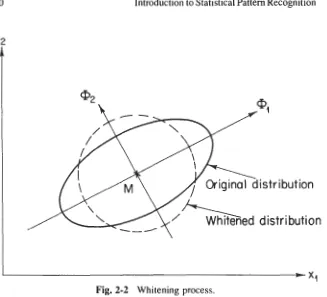 Fig. 2-2 Whitening process. 