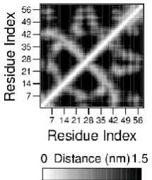 Figure 4 Contact map for a hypothetical protein A 