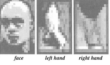 Fig. 5. Candidate inputs for classification