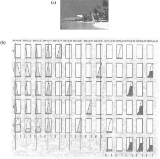 Fig. 4. An example of system’s operation: (a) An input image and (b) system’s outputs, corre-sponding to forest, clouds, desert, sea and plantation, respectively.