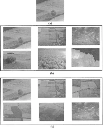 Fig. 5. (a) Input image to the image retrieval system; (b) the six best matches whenand (c) the six best matches when and