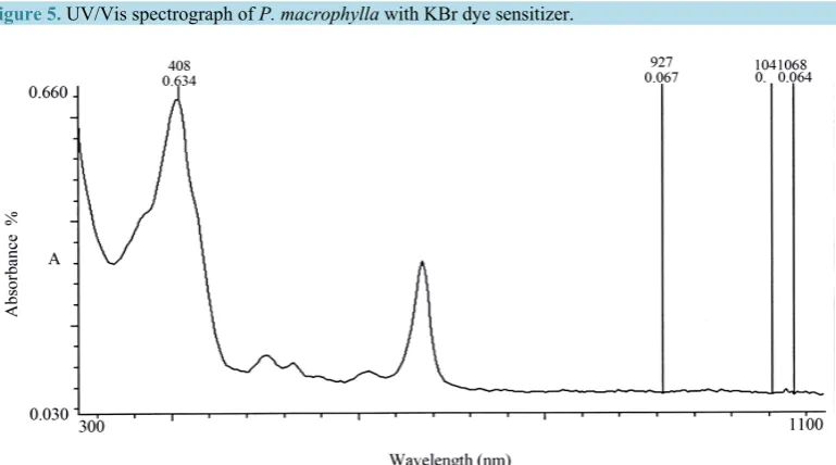 Figure 5. UV/Vis spectrograph of P. macrophylla with KBr dye sensitizer.                              