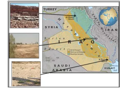 Figure 2. Locations of Mosul, Baghdad and Basrah map and soil type.                        