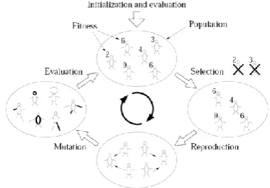 Fig 1: Initialization and the iterative cycle in evolutionary algorithms 