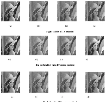 Fig 7: Result of NLmeans method 