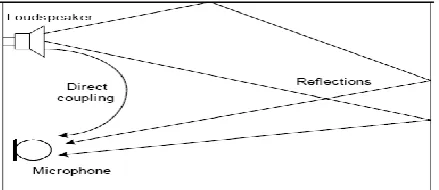 Fig 1: Generation of acoustic echo through direct coupling and reverberations 