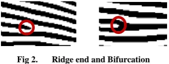 Fig 1. Features of a fingerprint 