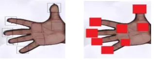 Fig 3.  Very common minutiae patterns 