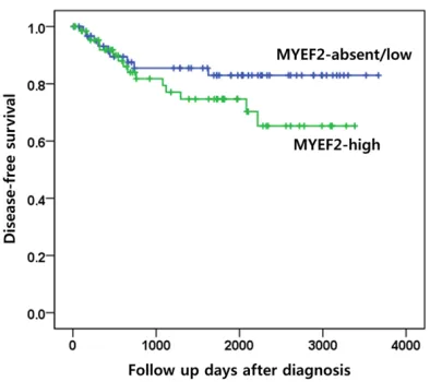 Figure 3. Cumulative disease-free survival curves ac-cording to MYEF2 expression. (Kaplan-Meier method with log-rank test, P = 0.178).