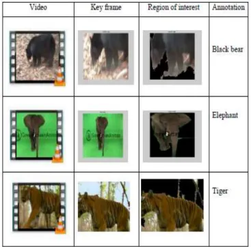 Table 1: Key frame exraction, cropped region of interest and  annotation 