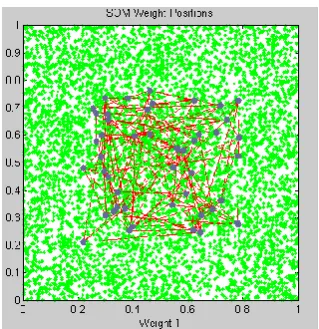 Fig. 1(b): Weight vector after 100 epochs 