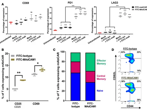 Figure 2. mAbCAR-expressing T cells are activated by FITC binding. (percentage of surface expression of selected markers measured by flow cytometry (CD69, LAG3, PD1) before or after in vitro exposure to FITC (24 hours) in untransfected CD4A) Analysis of mA