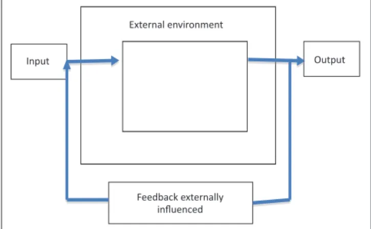 FIGURE 1: Extrinsic feedback (adapted from Skyttner, 2005).