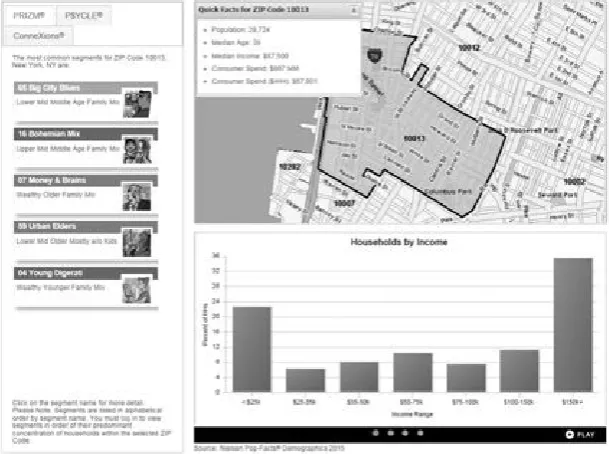 Figure 3.2 Example of Nielsen-Claritas information for a New York ZIP-code