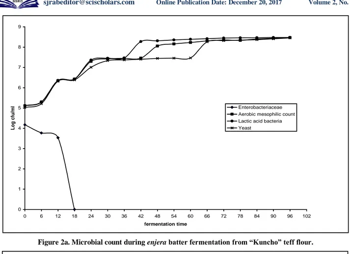 Figure 2a. Microbial count during enjera batter fermentation from “Kuncho” teff flour