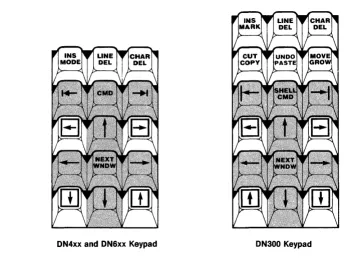 Figure 1·5: Cursor Control Keys 