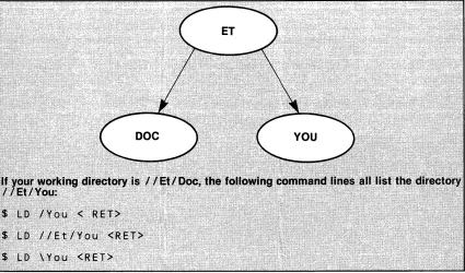 Figure 2·3: 