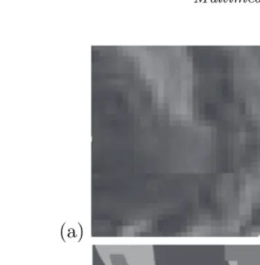 Fig. 2.93D Figure represented by voxels.