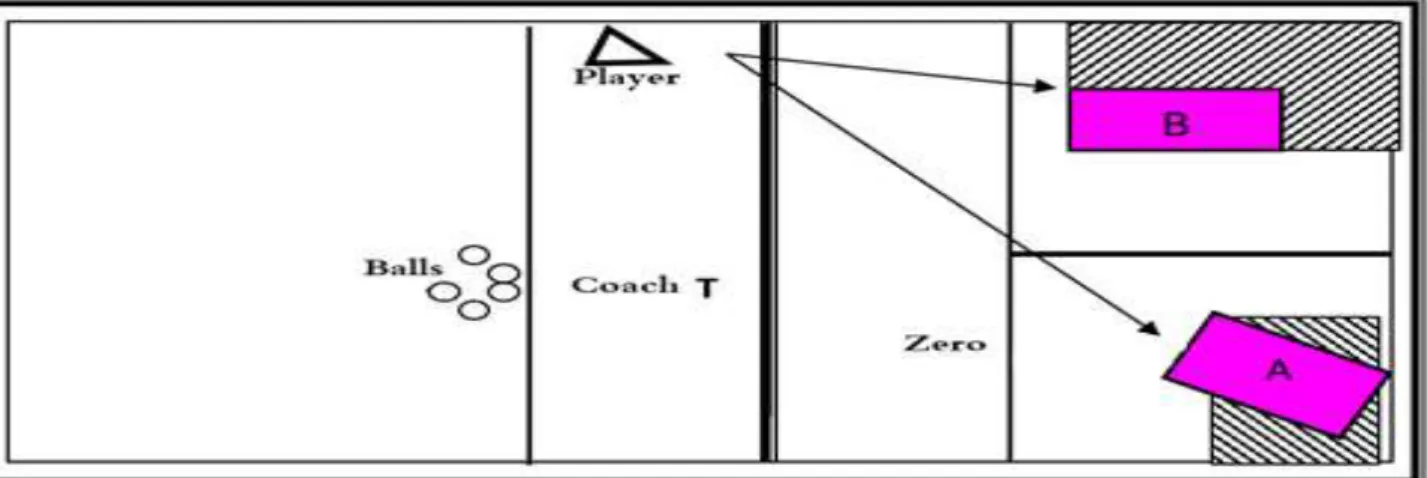 Figure 1: Shows the accuracy test of spike skill in volleyball 