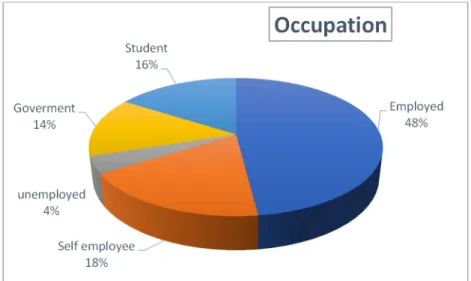 Figure 3. Respondents Characteristics Based on Occupation 