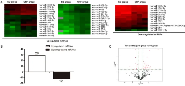 Figure 2. Heart failure alters miRNA expression profiles in rats. A: Heat-map of miRNAs whose expressions levels were up- and downregulated >1.5-fold in CHF group vs