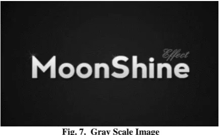 Fig. 7.  Gray Scale Image 