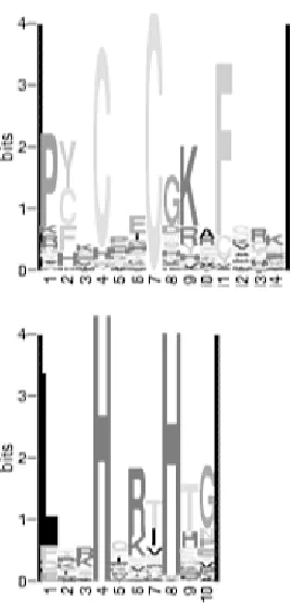 Figure 8-1. A sequence logo 