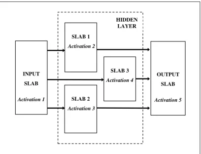 Figure 1. The Multiply Activated Multi-Layer Perceptron (MAMLP) neural network architecture 